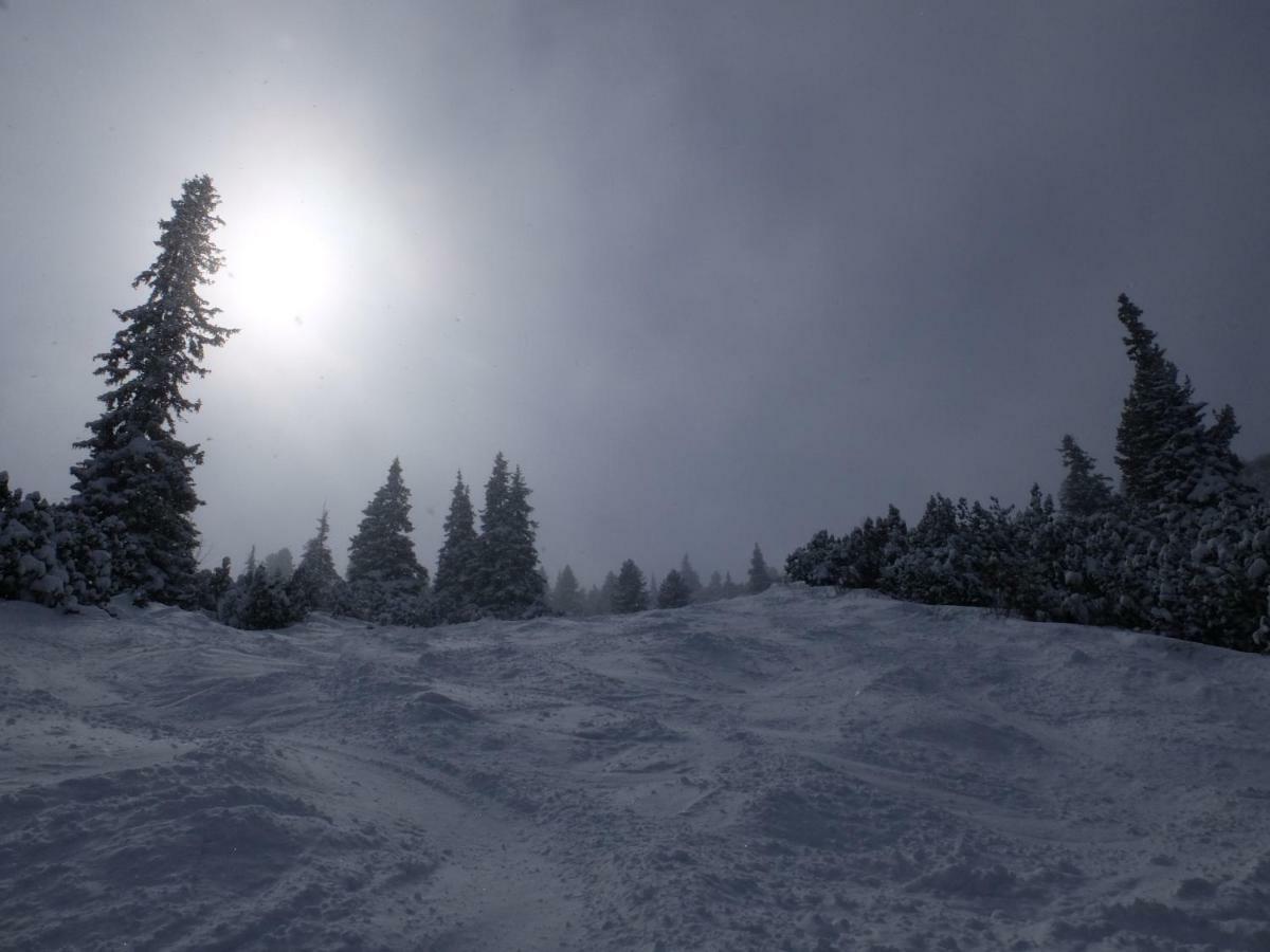 Borovets Apartment, Villa Park Bagian luar foto